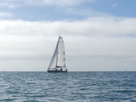 Croisière demi-journée